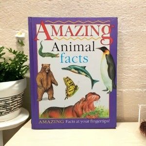 Amazing Animal Facts by Rupert Matthews & Gerald Legg 1997 Nature Childrens Book